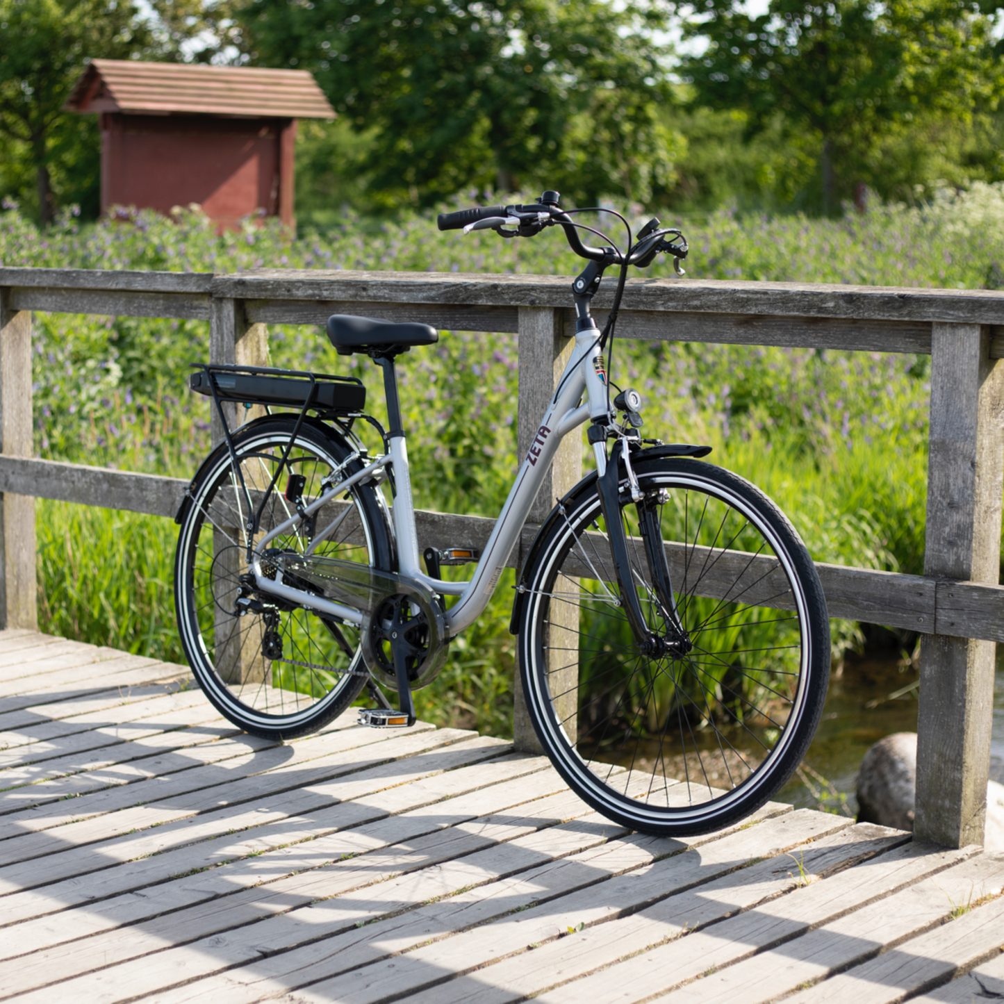 Zeta Leisure E-bike