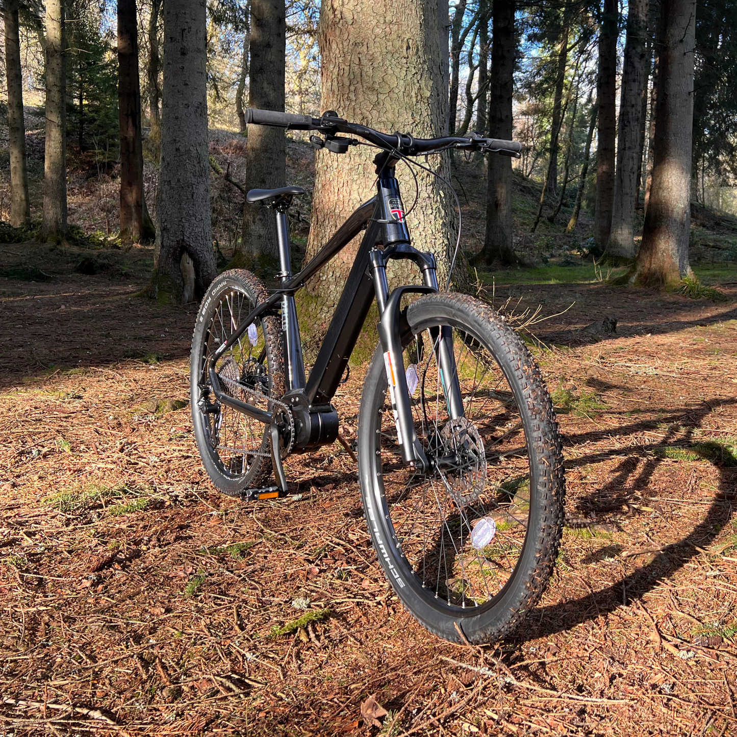 Delta Electric Mountain Bike