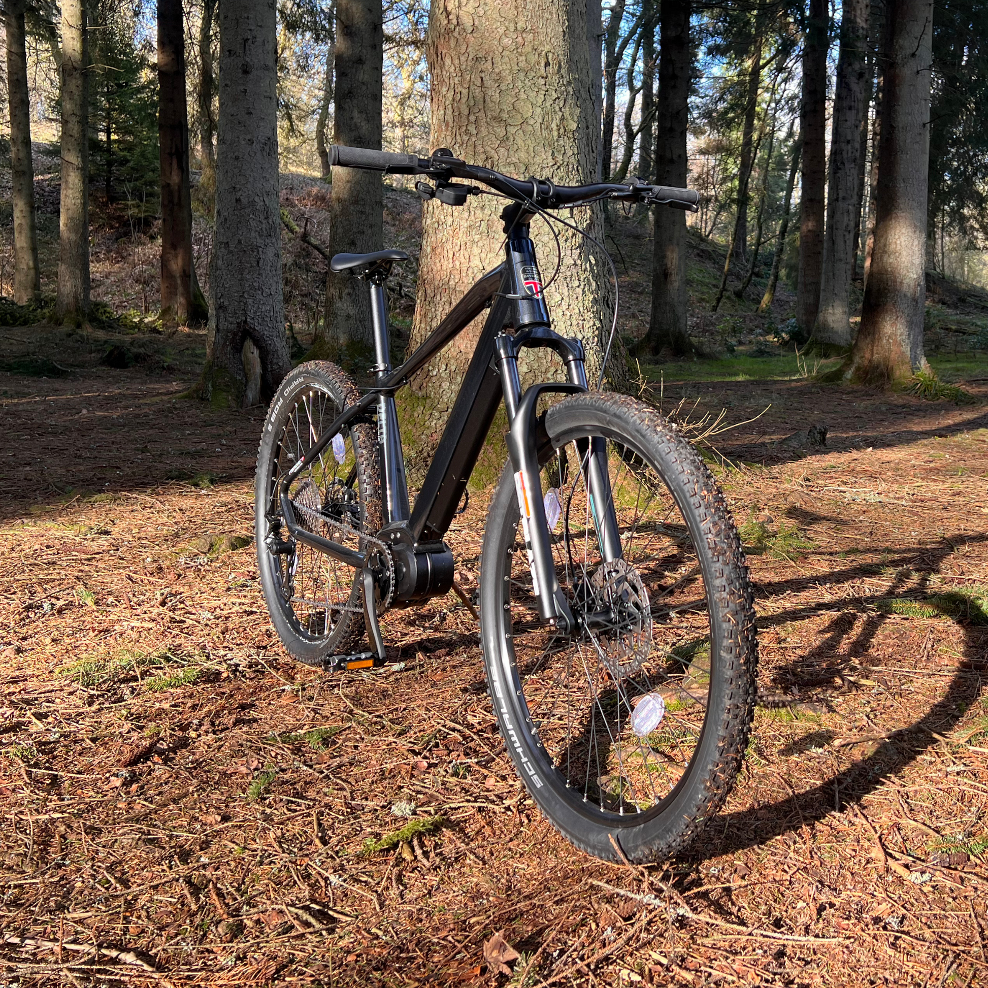 Delta Electric Mountain Bike