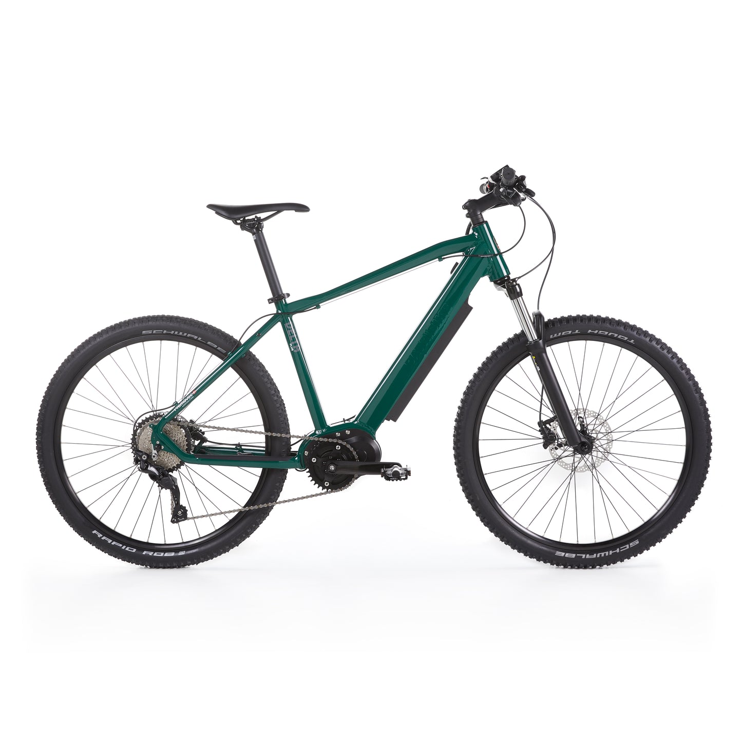 Delta Plus Electric Mountain Bike
